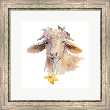 Framed Flower Goat Print