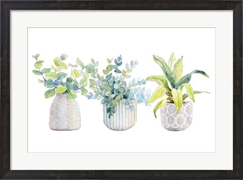 Framed Decorative Plant Arrangement I Print