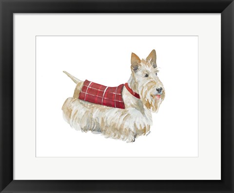 Framed Wheaten Scotty Print