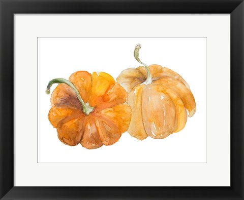 Framed Pumpkin Harvest II Print