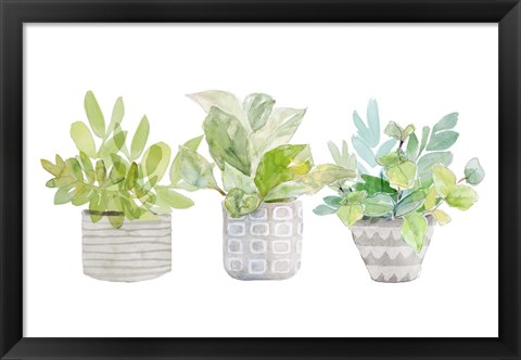 Framed Decorative Plant Arrangement II Print
