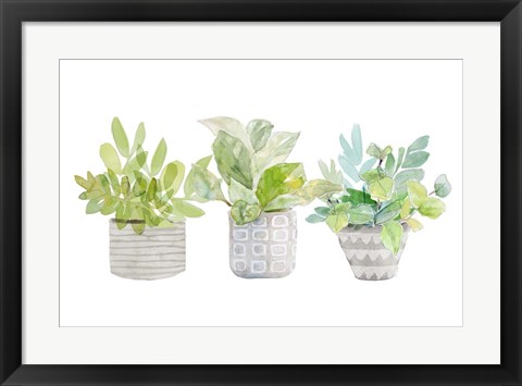 Framed Decorative Plant Arrangement II Print