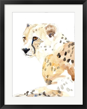 Framed Seated Cheetah Print