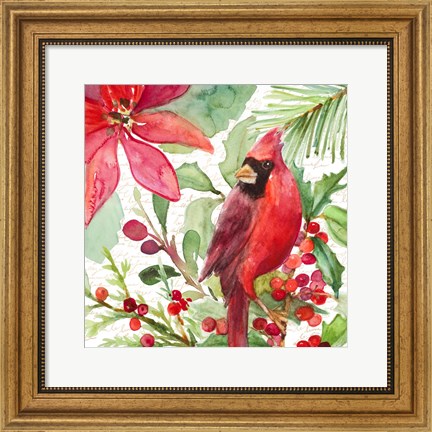 Framed Poinsettia and Cardinal I Print