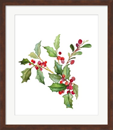 Framed Holly Branches II Print