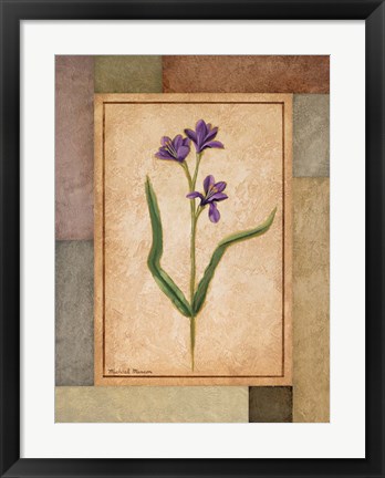 Framed Changing Colors II Print