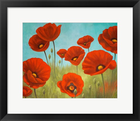 Framed Field of Poppies II Print