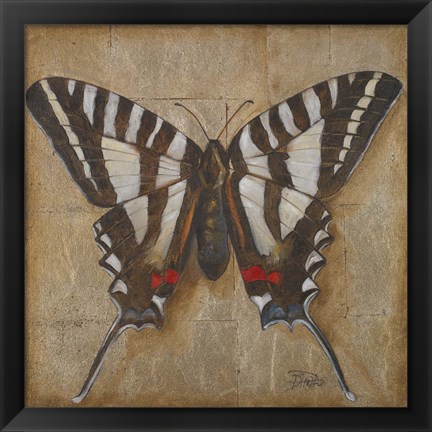 Framed Butterfly I Print