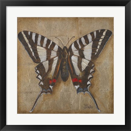 Framed Butterfly I Print