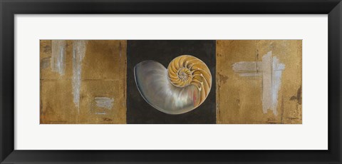 Framed Seashells II Print