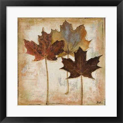 Framed Natural Leaves III Print