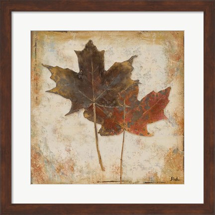 Framed Natural Leaves IV Print