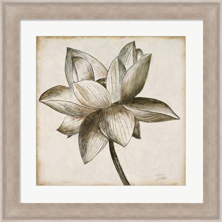 Framed Sepia Lotus I Print