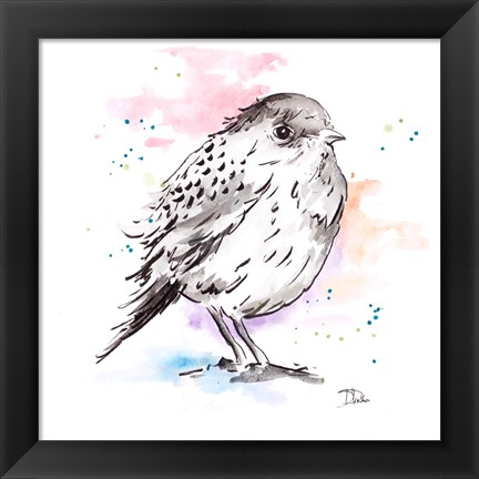 Framed Bird Sketch III Print