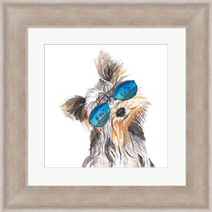 Framed Yorkie with Shades Print