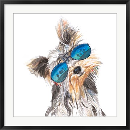 Framed Yorkie with Shades Print