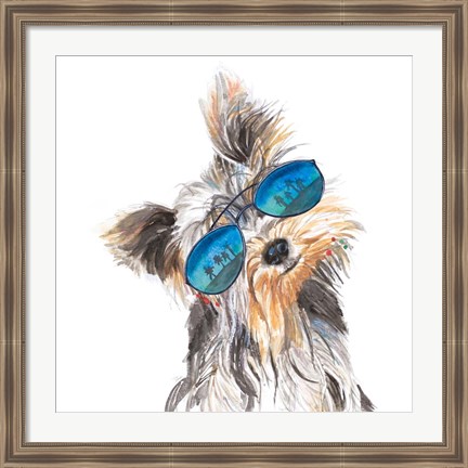 Framed Yorkie with Shades Print