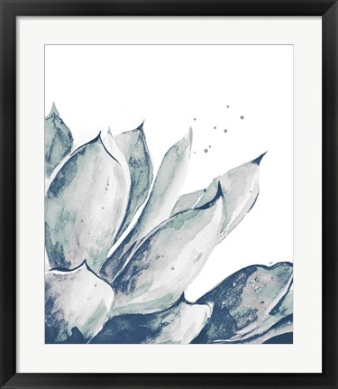 Framed Blue Agave on White II Print