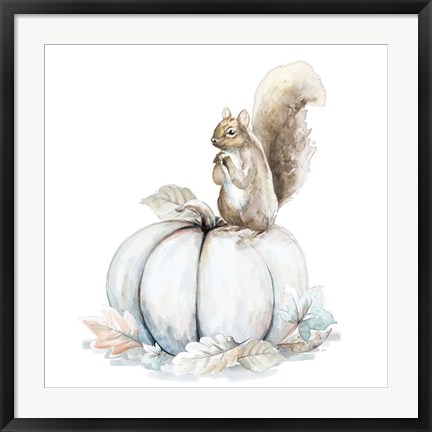 Framed Squirrel and Pumpkin II Print