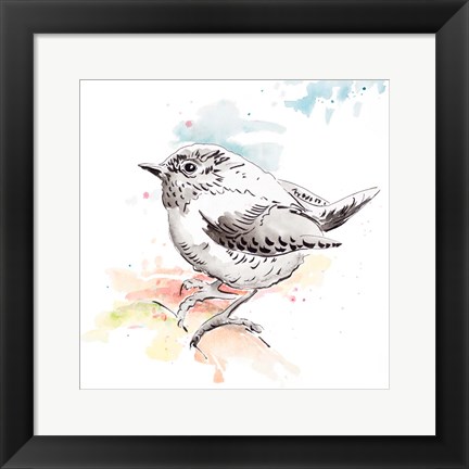 Framed Bird Sketch II Print