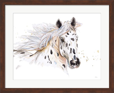 Framed Appaloosa Print