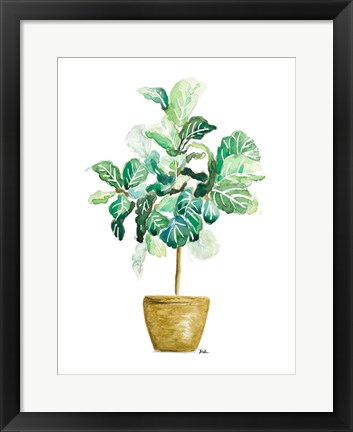 Framed Fig Plant Print