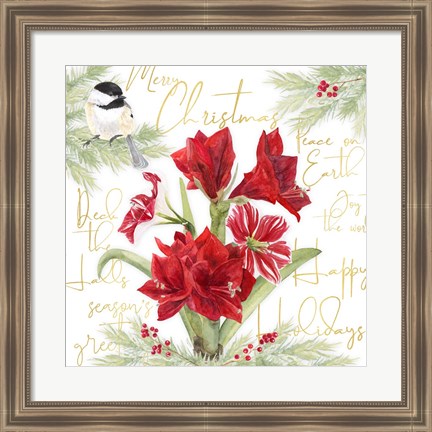 Framed Merry Amaryllis IV Print