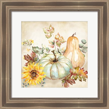 Framed Watercolor Harvest Pumpkin II Print