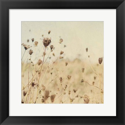 Framed Falling Queen Annes Lace II Crop Sepia Print