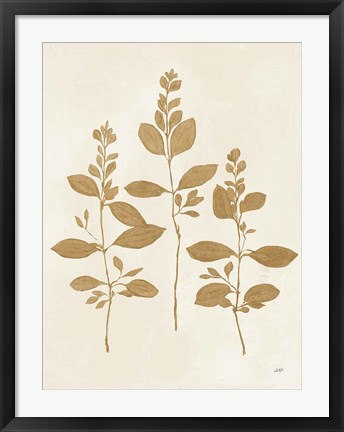 Framed Botanical Study IV Gold Crop Print