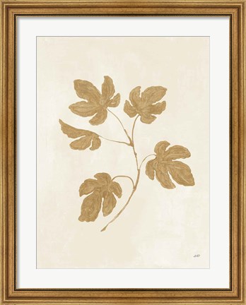 Framed Botanical Study III Gold Crop Print