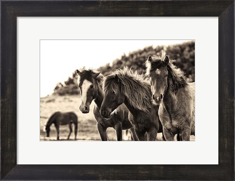 Framed Horses Three Sepia Print