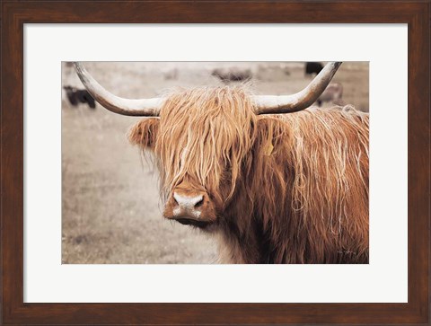 Framed Scottish Highland Cattle I Neutral Print