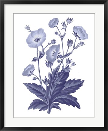 Framed Dark Blue Botanical VI Print