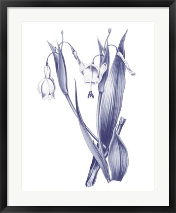 Framed Dark Blue Botanical II Print