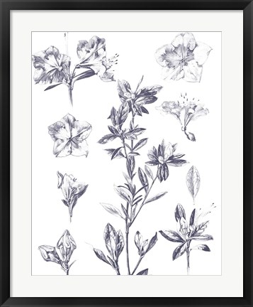 Framed Lithograph Florals I Blue Print