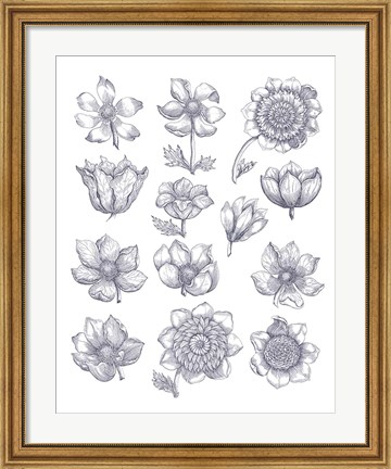 Framed Anemone Plate I Blue Print