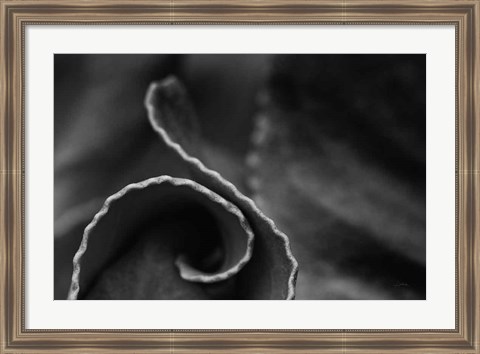 Framed Circling Around Print