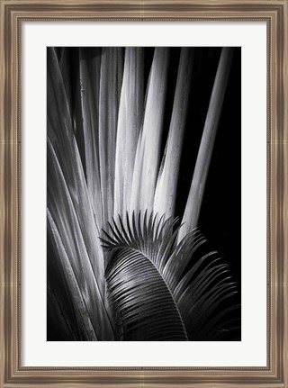 Framed Tropical II Print