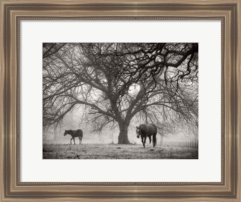 Framed Morning Calm II BW Print