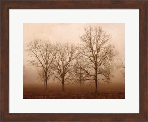 Framed Morning Calm III Print