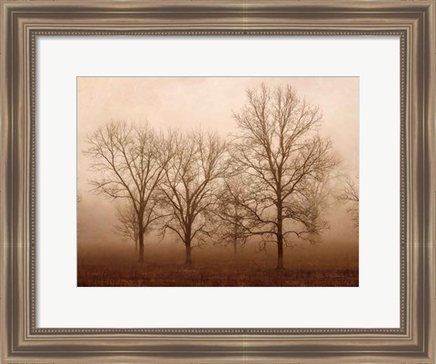 Framed Morning Calm III Print