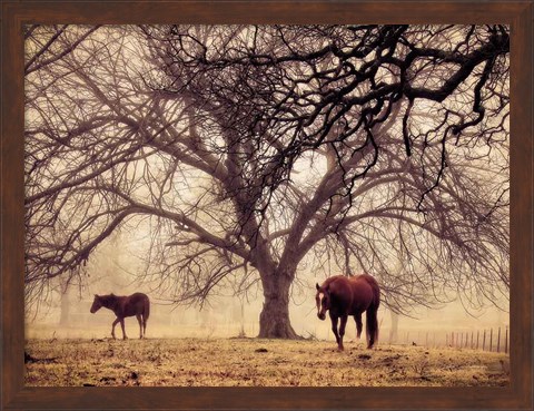 Framed Morning Calm II Print