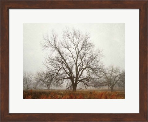 Framed Morning Calm I Print