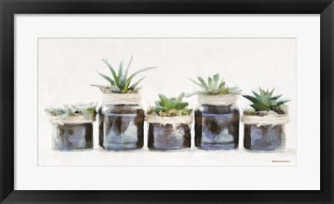 Framed Rustic Plants in a Row Print