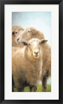 Framed Three Sheep Portrait Print