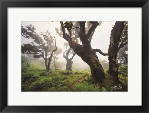 Framed Perfect Quietness Print