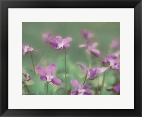 Framed Wild Violets Print