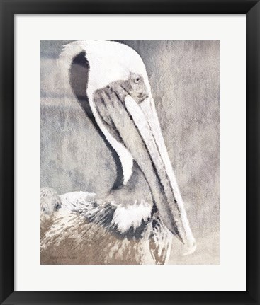 Framed Pelican Print