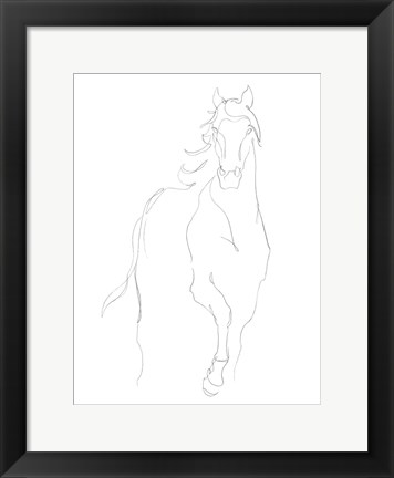 Framed Horse Contour I Print